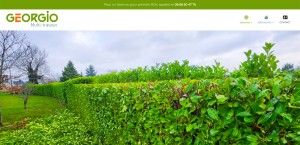 georgio Site internet